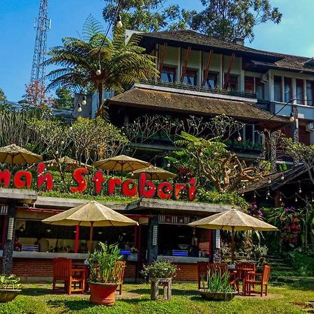 Rumah Stroberi Organic Farm & Family Lodge Lembang Exteriör bild