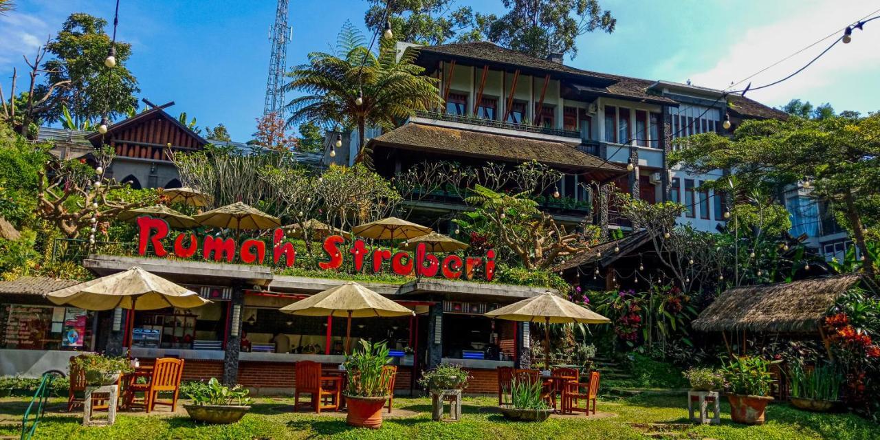 Rumah Stroberi Organic Farm & Family Lodge Lembang Exteriör bild