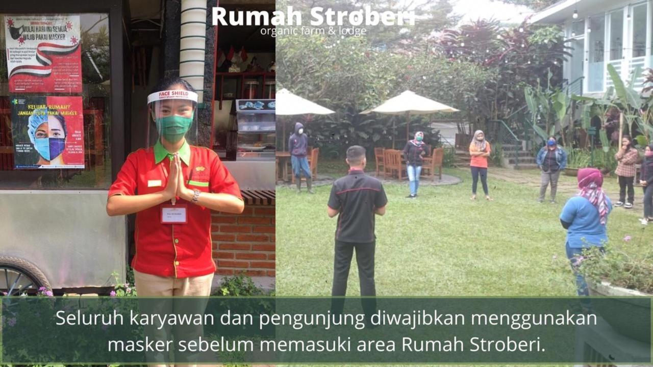 Rumah Stroberi Organic Farm & Family Lodge Lembang Exteriör bild